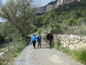 IMG_4509 (Medium)